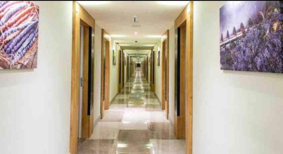 Lamar Hotel バトゥーミ 部屋 写真